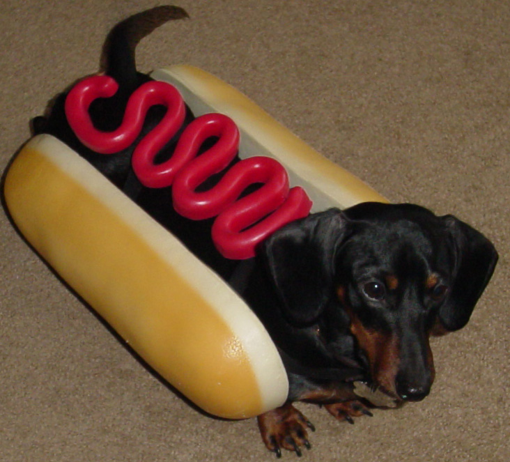 realHotdog